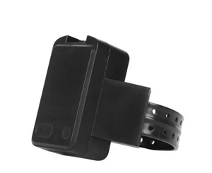 GPS ankle monitor.png